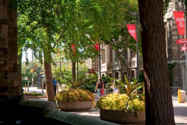 A tree-lined sidewalk with planters, people walking, and red banners with a 