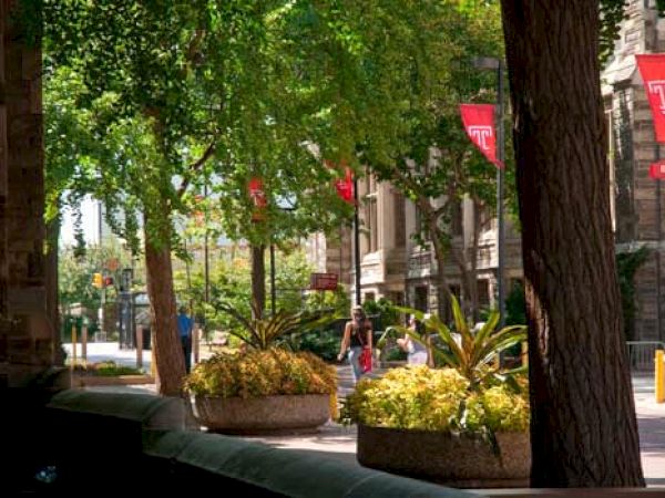 A tree-lined sidewalk with planters, people walking, and red banners with a "T" logo on buildings in the background.